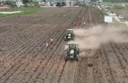 “北薯南种” 助力南北双丰收 产业链进一步打通