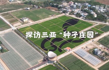 探访三亚“种子庄园”