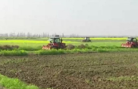江西：“双管齐下” 低产旱地变良田