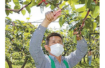 新型职业农民成长记