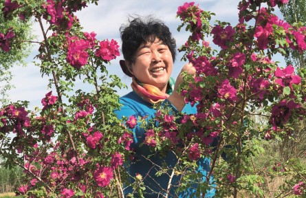 殷玉珍：万亩黄沙变身绿长廊
