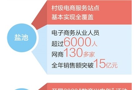 宁夏盐池：数商兴农助力乡村蝶变