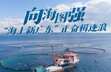 向海图强！“海上新广东”正奋楫逐浪