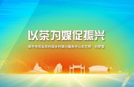 刘梦莹：以茶为媒促振兴