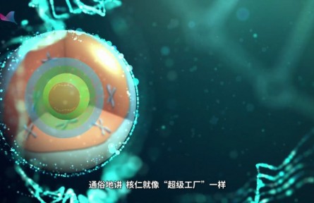 科普 | 上海科学家发现核糖体RNA“超级工厂”的运行新机制