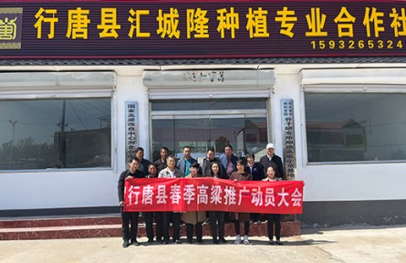 河北省行唐县举办春季糯高粱种植推介会