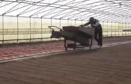 吉林：适时播种育壮秧 奠定粮食增产基础
