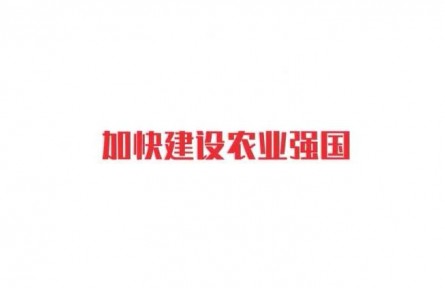 一起学报告｜加快建设农业强国