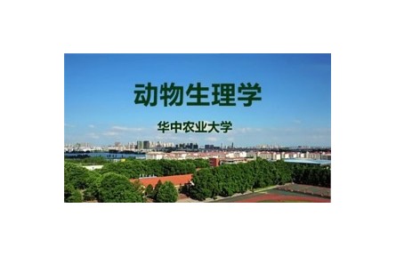 《动物生理学》课程系列视频