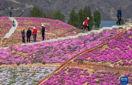 花开引客来