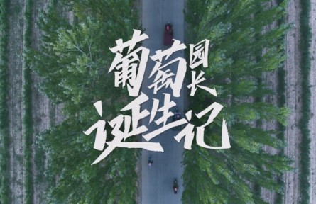 王月英：葡萄园长诞生记