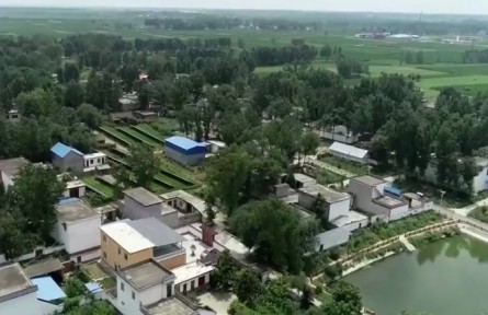 河南：发展特色产业 赋能乡村振兴