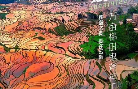 世界地球日 | 和谐之美，美在云南