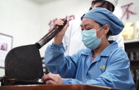陈小兰：传承中医药炮制技艺