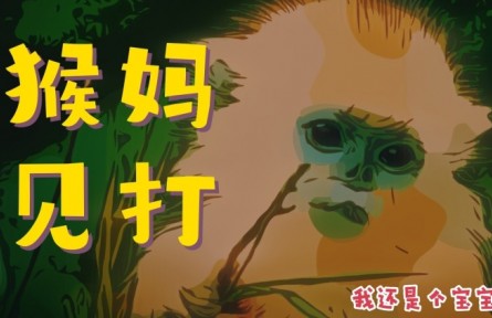 口袋里的大自然：小猴崽迷惑行为