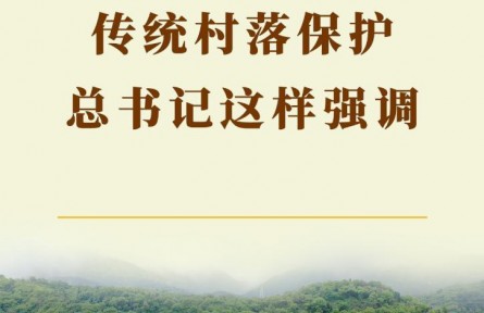 第一观察 | 传统村落保护，总书记这样强调