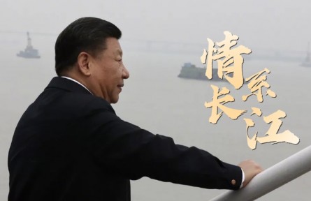 情系长江