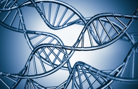 科技名词 | 基因型  genotype