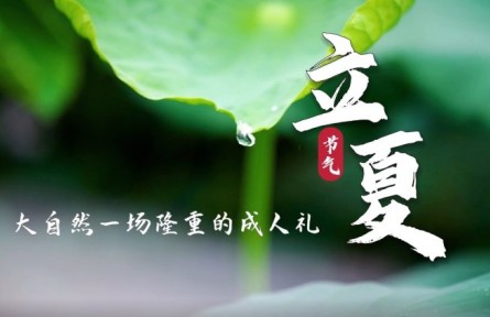 立夏：大自然一场隆重的成人礼