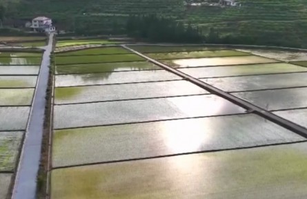 2023年全国春播粮食过四成