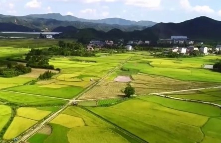 检察机关启动参与粮食购销领域腐败问题专项整治工作