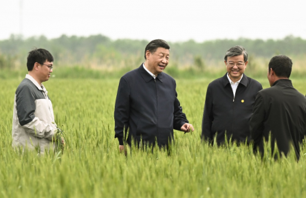 一见·从总书记下田，看粮食安全的“加减法”