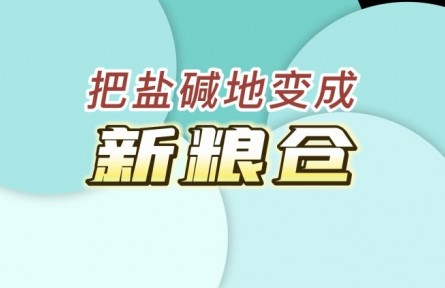 国家盐碱地综合利用技术创新中心：把盐碱地变成“新粮仓”