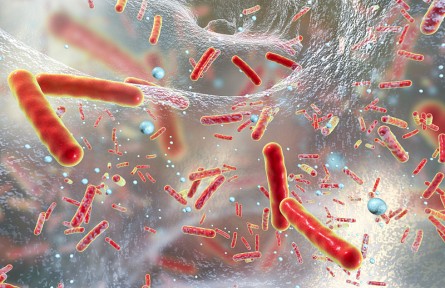 科技名词  |未培养微生物  uncultured microorganism