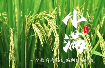 《节气里的大美中国》小满：一个最有内涵充满期待的节气
