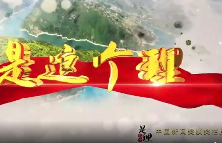 《是这个理》：黄歇口的新“稻”路
