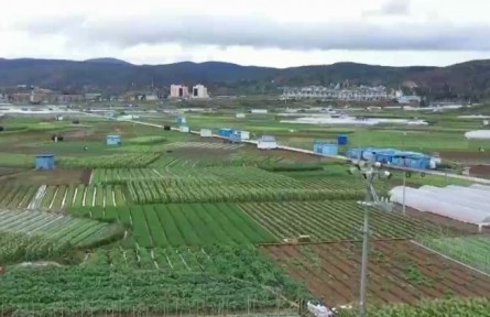 云南：各地多措并举 全力以赴抗旱保民生
