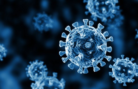 科技名词 | 病毒 Virus