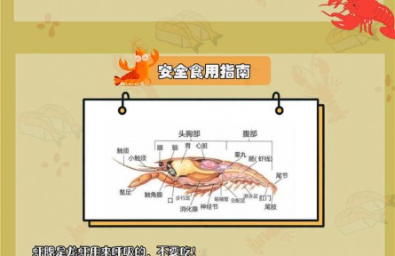 小龍蝦自帶寄生蟲？體內(nèi)藏著重金屬？吃小龍蝦原來有這些講究