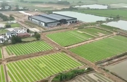 江西南昌新建区：中稻生产全面铺开 智能育秧提质稳产