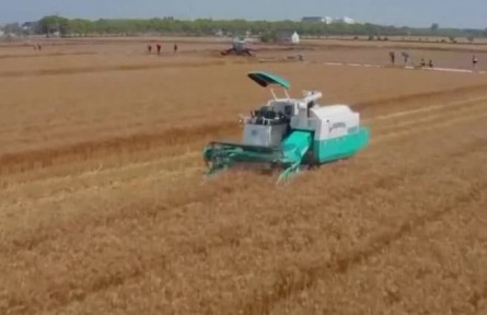 【在希望的田野上】三夏时节农事忙 奠定丰收好基础