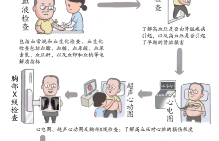 健康问答 | 高血压患者要做哪些必要的检查？