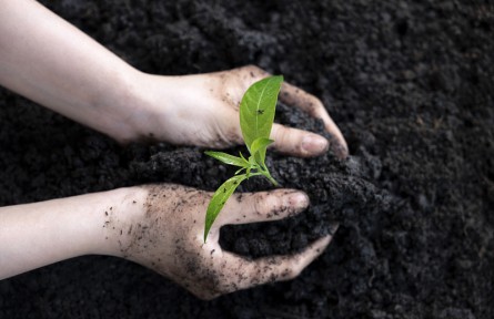 科技名词 | 土壤熟化 anthropogenic mellowing of soil