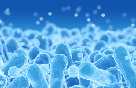 科技名词 | 大肠菌群  Coliform