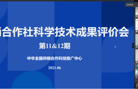 总社南京野生植物综合利用研究所、华中农业大学“快速真空冷冻干燥技术在果蔬加工中的应用”成果评价公告【2021（12号）】
