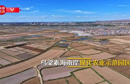 习近平内蒙古行|建好现代农业园区 带动农业高质量发展——走进乌梁素海南岸现代农业示范园