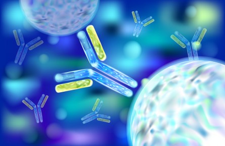 科技名词 | 抗体 antibody