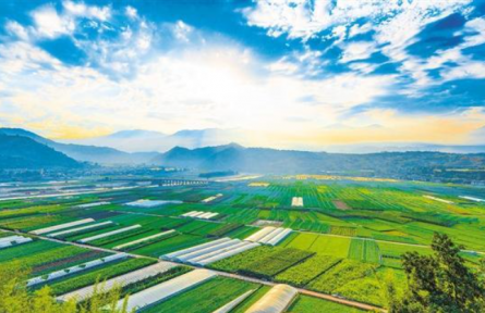 强农兴川——践行习近平经济思想调研行