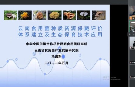 中华全国供销合作总社昆明食用菌研究所“云南食用菌种质资源收集保存、鉴定评价和生态促繁技术应用”成果评价公告【2022（47号）】
