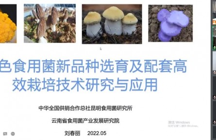 中华全国供销合作总社昆明食用菌研究所“特色食用菌新品种选育及配套高效栽培技术创新与产业化应用”成果评价公告【2022（48号）】