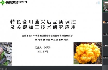中华全国供销合作总社昆明食用菌研究所“特色食用菌采后品质调控及关键加工技术推广应用”成果评价公告【2022（50号）】
