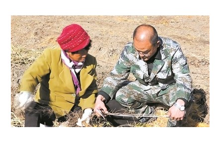 邓松武：苗圃地里的不老松