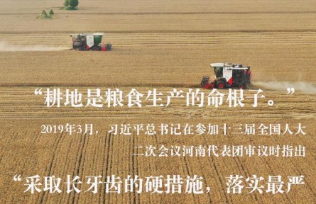 习近平总书记关切事|藏粮于地、藏粮于技，筑牢丰收之基