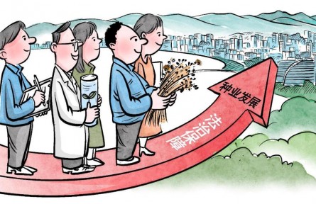 海南自由贸易港促进种业发展若干规定施行 投向种业领域的科技创新券可跨省通兑