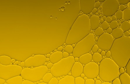 科技名词 | 脂类  lipid