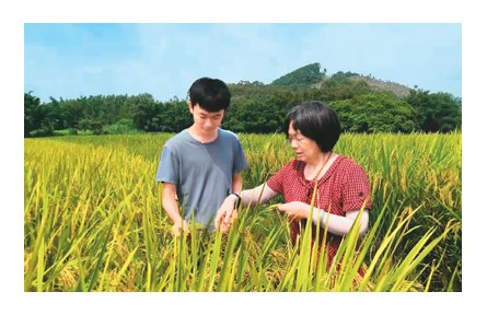 农业数字化技术员：田间地头就是我们的办公室
